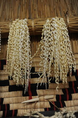 Inau or inaw a wooden ritual wood-shaving stick used by Ainu people for prayers to kamuy gods in...