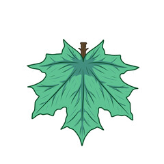 Fototapeta premium vector image of turquoise blue broad leaves