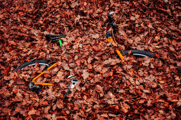 Camouflage, a bicycle buried in autumn leaves