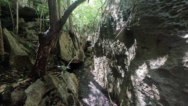 Hiking in touristic trek Petit Tsingy de Bemaraha, Strict Nature Reserve located near the western coast of Madagascar. UNESCO World Heritage with unique geography. Madagascar wilderness landscape