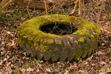 Illegal garbage dump with an old car tire overgrown with moss as a sign of decay and pollution