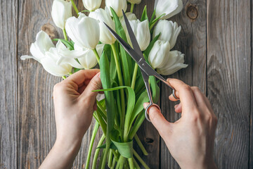 A florist girl makes a bouquet of tulips flowers, cuts the ends with shears.