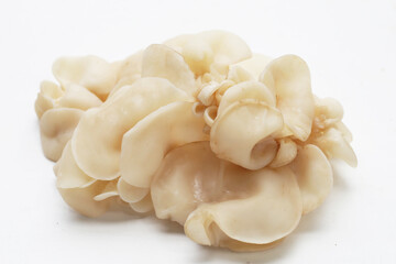 White jelly mushroom or white ear mushroom