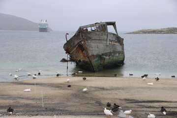 The wreck of Protector III on the beach at Settlement Harbour, New Island, Falkland Islands.