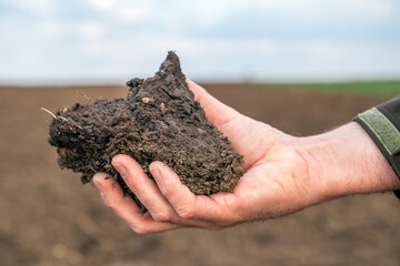 Agronomist holding a clod of earth, closeup of male hand with soil sample from agricultural field