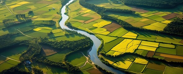Tranquil River Amid Lush Green Fields from a bird's eye view