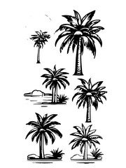 Hand draw funny sticker coconut tree collection