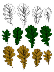 Set of black and white, green and brown oak leaves in vintage engraving stylized drawing isolated on white. Vector illustration - obrazy, fototapety, plakaty