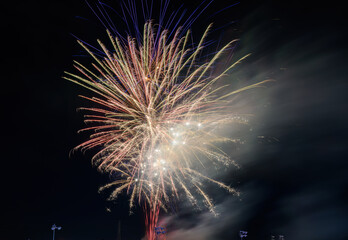 Fireworks at Chinese New Year Lantern Festival in Auckland.