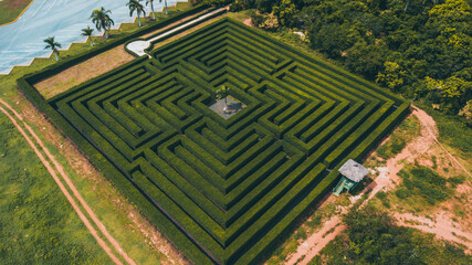 nature labyrinth in the middle of the street