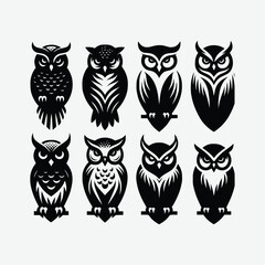 set of owls on white