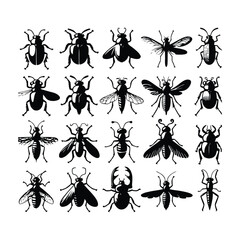 set of ants vector