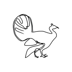 hand drawn illustration of a bird