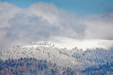 Neige dans les Vosges