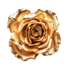Close-Up View of a Golden Rose