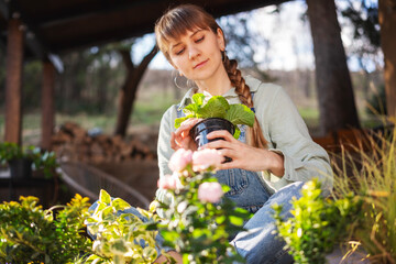 Young adult happy European woman on the terrace of a country house with a pot of spring flowers in her hands. Gardening as a hobby and spring lifestyle - 746383411