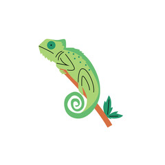 Green chameleon branch vector illustration
