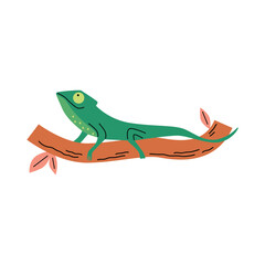 Green chameleon on branch vector illustration