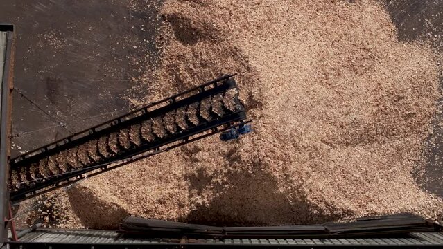 Wood Chips Transported To A Stockpile By A Belt Conveyor At Sawmill. - aerial shot