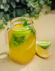 Lemonade with fresh orange, lime and mint in glass jug
