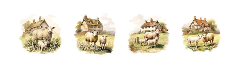 Farm with sheep set watercolor. Vector illustration design.