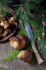 Imleria Badia or Boletus badius mushrooms commonly known as the bay bolete, clay bowl with mushrooms and knife on vintage wooden background..