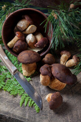 Imleria Badia or Boletus badius mushrooms commonly known as the bay bolete, clay bowl with mushrooms and knife on vintage wooden background..