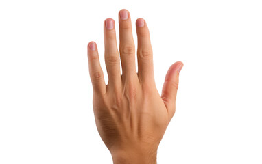 Hand Reaching Up Into the Air. A persons hand stretches upwards into the air, fingers extended as if reaching for something out of reach. on a White or Clear Surface PNG Transparent Background.