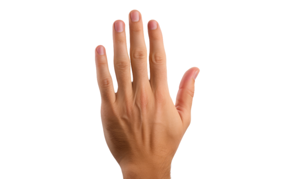 Hand Reaching Up Into the Air. A persons hand stretches upwards into the air, fingers extended as if reaching for something out of reach. on a White or Clear Surface PNG Transparent Background.