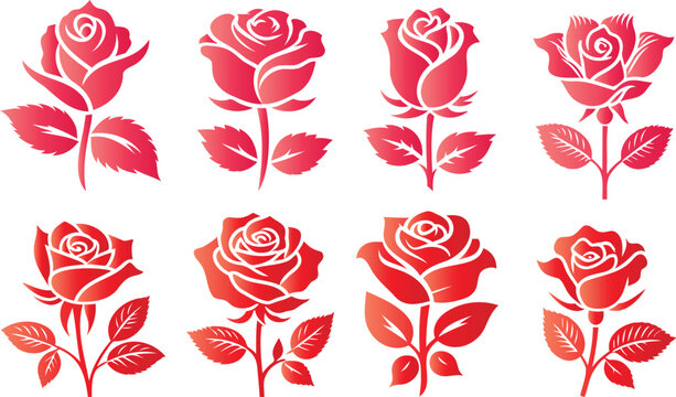 red rose vector on white background