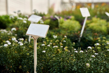Empty label on the plant in  plant nursery