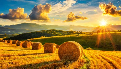 Foto auf Leinwand Row of hay bales on a golden beautiful landscape at sunset or sunrise. Agricultural field with hills and sky with clouds in the background. Generative Ai. © Alberto Masnovo