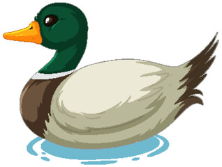 Vector graphic of a duck floating on water