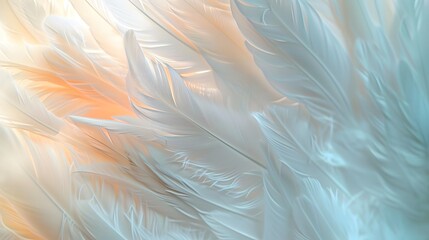 Bird chickens feather texture for background Abstract, soft color of art design.