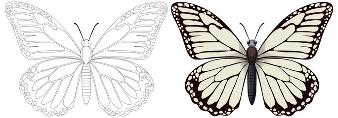 Vector graphic of a butterfly, colored and outlined.