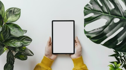 Hands hold tablet, white background, AI generated Image