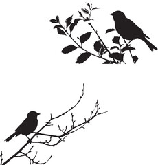 Black silhouette birds on the tree branch white background