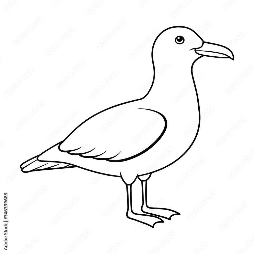 Wall mural vector of seagull illustration coloring page for kids