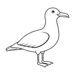 Vector of seagull illustration coloring page for kids