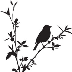 Black silhouette bird on the tree branch white background