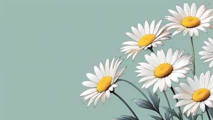 Deurstickers daisies on white background © Esther