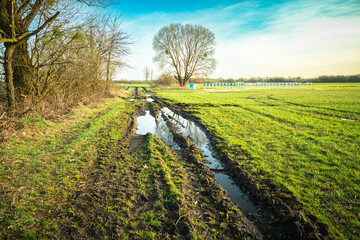 Obraz premium Puddles on a dirt road next to a meadow with a tree, spring day