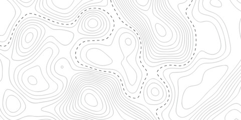 Pattern with lines and dots The stylized height of the topographic map contour in lines and contours isolated on transparent. Black and white topography contour lines map isolated on white background.