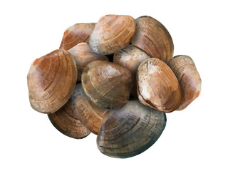 あさり（12個）