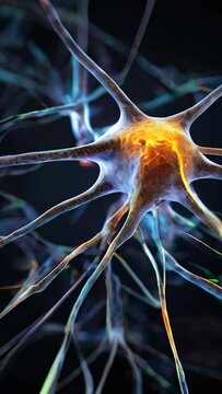 Close up of a brain cell, electrical connections.