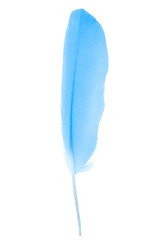 feather pastel color blue isolated on white background - 746408810