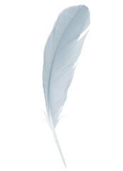 Beautiful white,baby blue colors tone feather isolated on white background