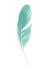 Beautiful green colors tone  feather isolated on white  background,trends color - 746408892