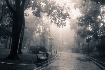 The monochromatic portrayal of cityscapes veiled in mist. The ethereal embrace of fog whispers a...