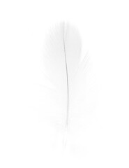 sketching white feather on white background - 746413019